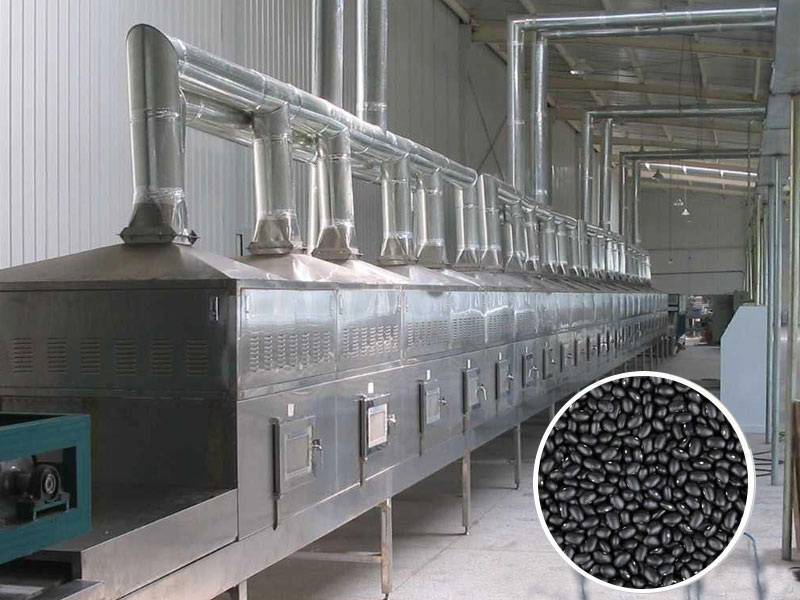 黑豆微波干燥设备