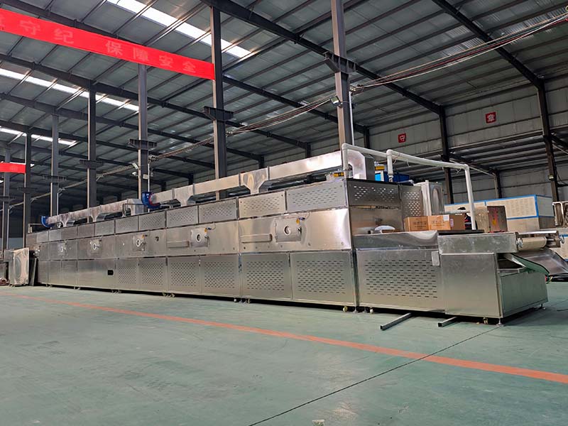 黑水虻微波干燥设备